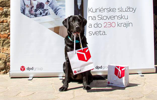 Sponsoring the training