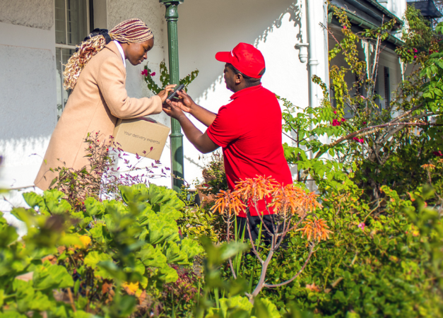 DPD SOUTH AFRICA History
