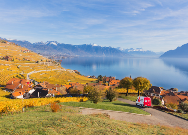 DPD Switzerland History