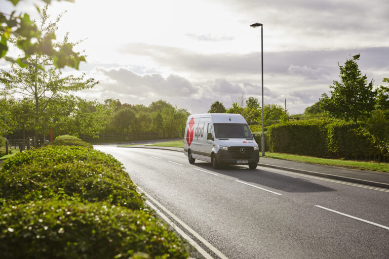 dpd van